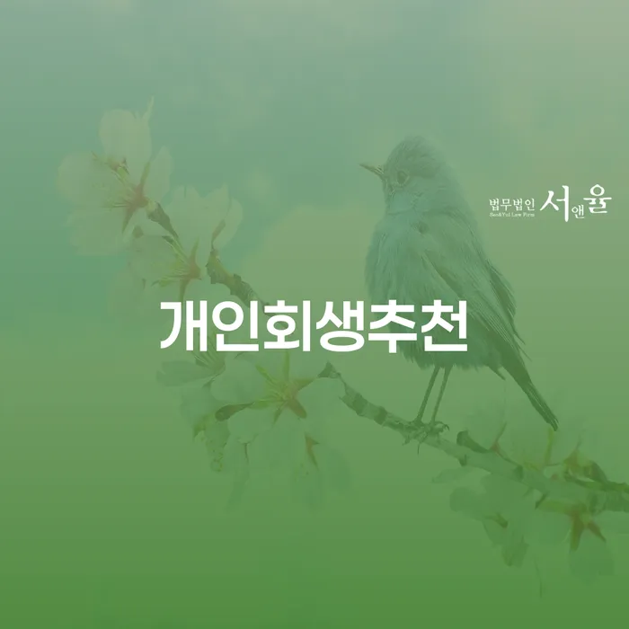 재회생 대출 받은 돈채무조정 진행하는