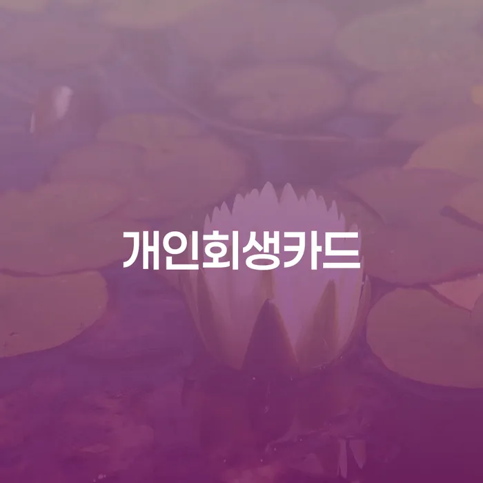 파산개인회생 신용회복 잘 하는 법무법인