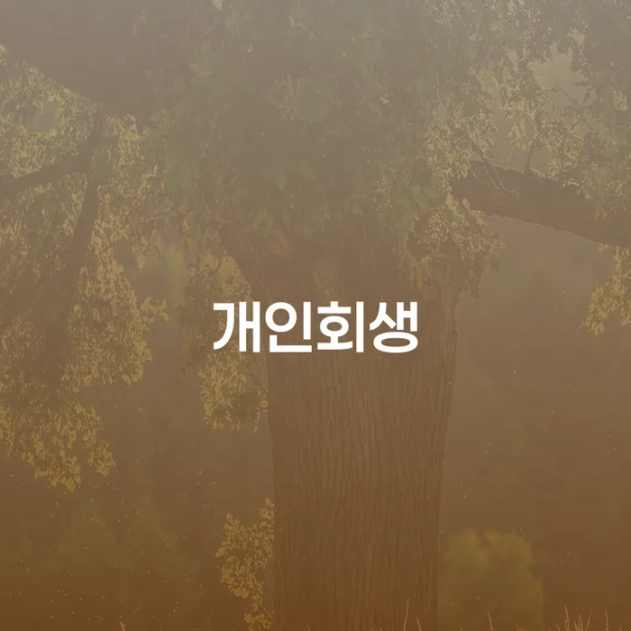 채권채무조회서 대출 연체 개인회생 체크해보세요