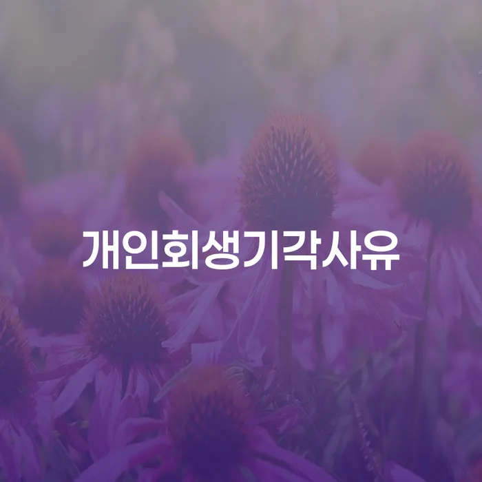 안성시 면책금 개인회생 처리방법 잘 하는 법무법인