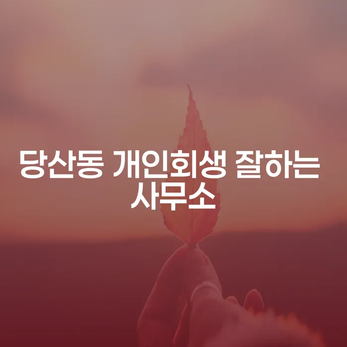 당산동 개인회생 잘하는 사무소