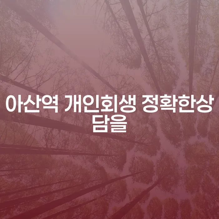아산역 개인회생 정확한상담을