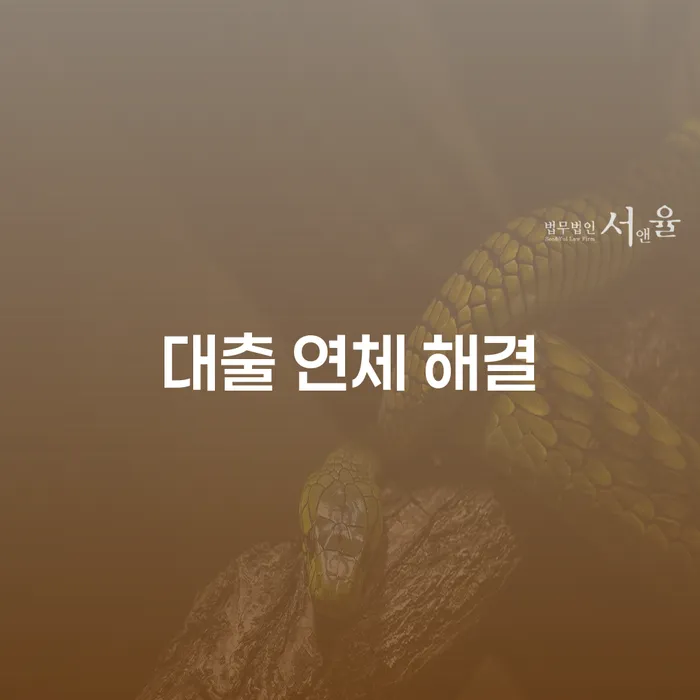 대출 연체를 해결할 수 있는 방법은 무엇일까요?