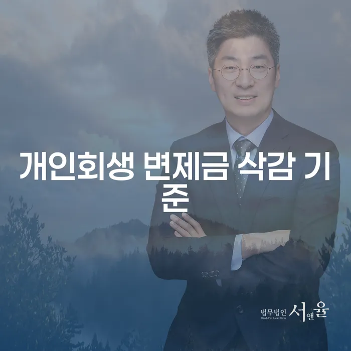 개인회생 변제금 삭감 기준, 희망의 빛을 찾을 수 있을까요?