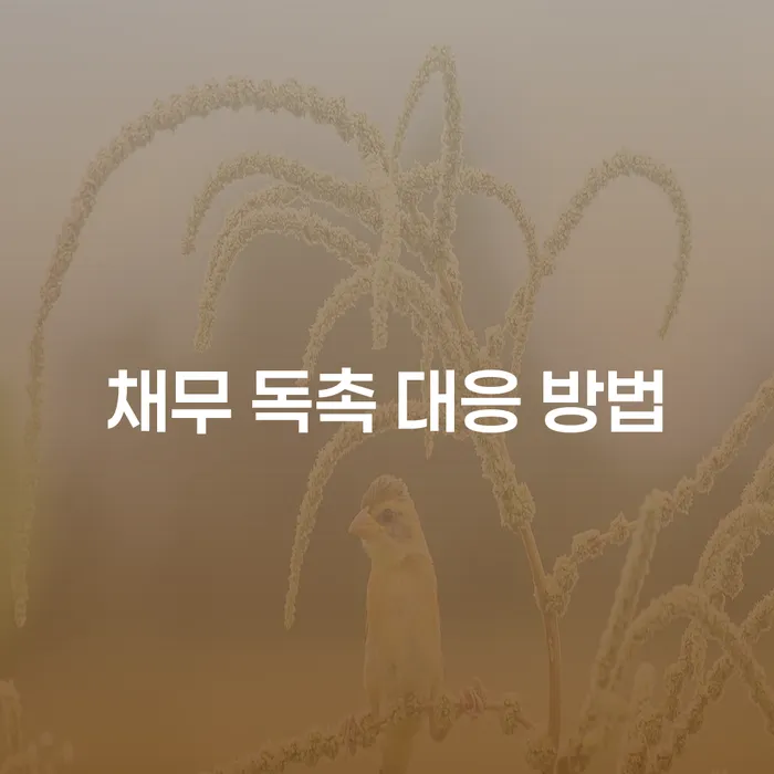 채무 독촉 대응 방법: 개인회생과 개인파산을 통한 해결책은?