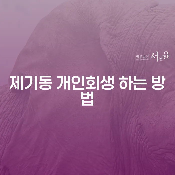 제기동 개인회생 하는 방법은 어떻게 찾을 수 있을까?