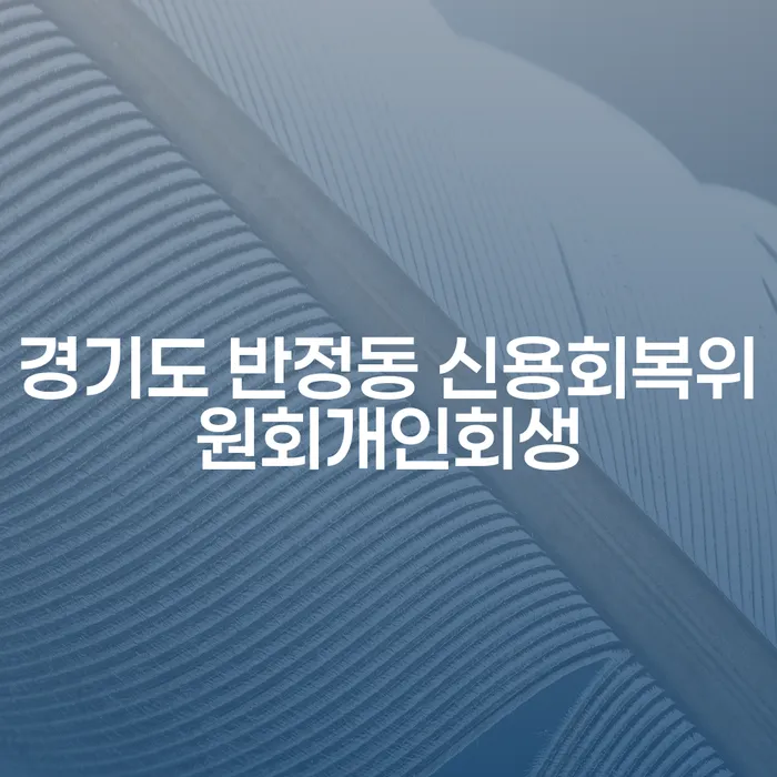 경기도 반정동 신용회복위원회에서 개인회생을 신청해야 하는 이유는 무엇일까요?