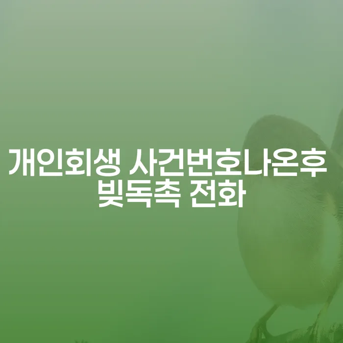 개인회생 사건번호 나온 후 빚 독촉 전화가 계속된다면?